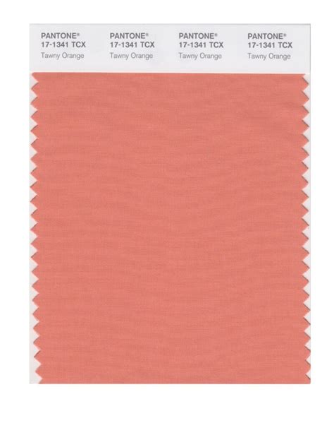 Pantone 17 1341 Tcx Swatch Card Tawny Orange Design Info