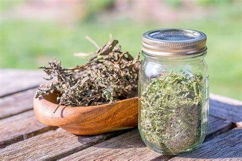 How To Preserve Herbs 3 Ways To Dry And Freeze Garden Herbs Hgtv