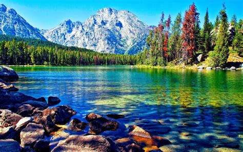 Beautiful Lake Mountain Forest Desktop Wallpapers