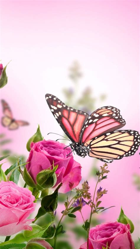Pink Butterfly Iphone Wallpapers Wallpaper Cave