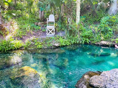 Tips For Kelly Parkrock Springs The Perfect Florida Oasis 2022