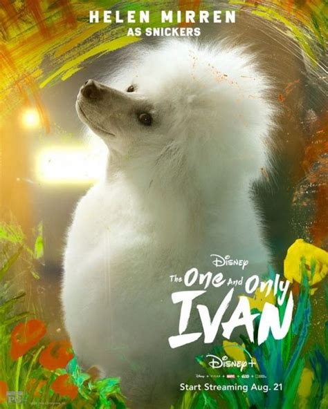 Check out ivan as a baby. Disney's The One and Only Ivan gets a batch of character ...