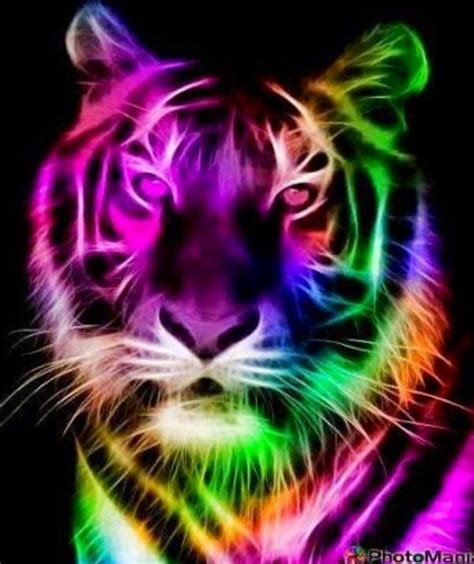Rainbow Tiger Животные Фэнтези рисунки