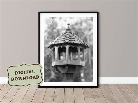 Bird Feeder Black And White Digital Download Printable Wall Etsy