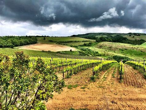 12 Wineries In Montepulciano Not To Miss Italy Wineries