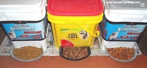 An automatic feeder that takes 5 minutes to make, and requires no soldering, no motors, and no batteries. 15 Neat Ways to Repurpose Kitty Litter Containers