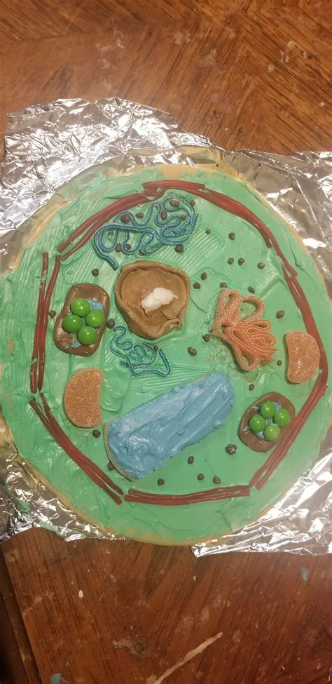 3d Cookies Cake Plant Cell Project Plant Cell Project Cells Project