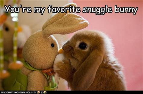 Snuggle Bunny Zehira Blog