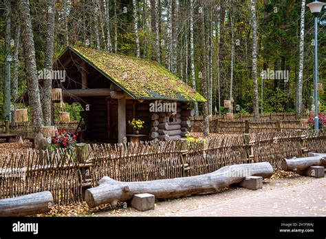 Little Mystic Wooden Log House In The Autumn Forest Tervete Latvia