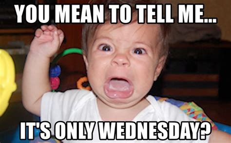 50 Kickass Funny Wednesday Memes To Make Hump Day Better Funny Wednesday Memes Funny Hump