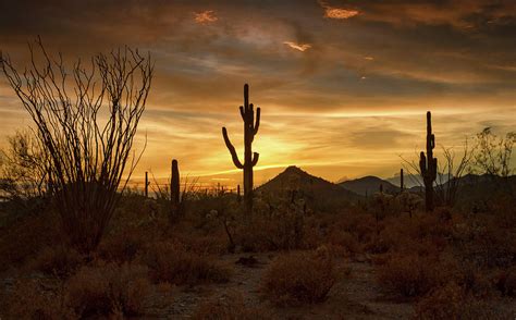 A Serene Desert Evening Photograph By Saija Lehtonen Fine Art America