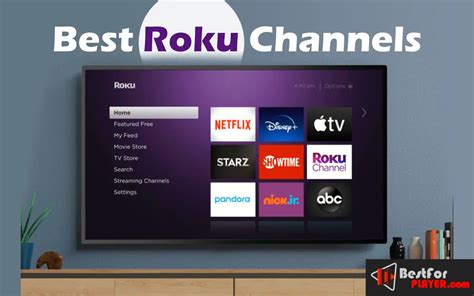 Top 10 Best Roku Channels You Should Add In 2022 Best For Player