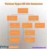 Images of Insurance Types