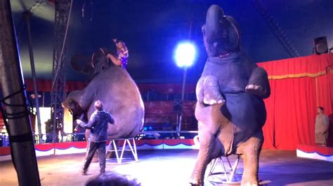Circus World Pt 8 Elephant Youtube