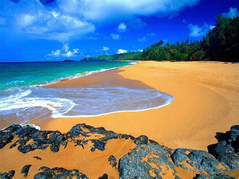 46 Free Wallpaper Hawaii Beaches Wallpapersafari