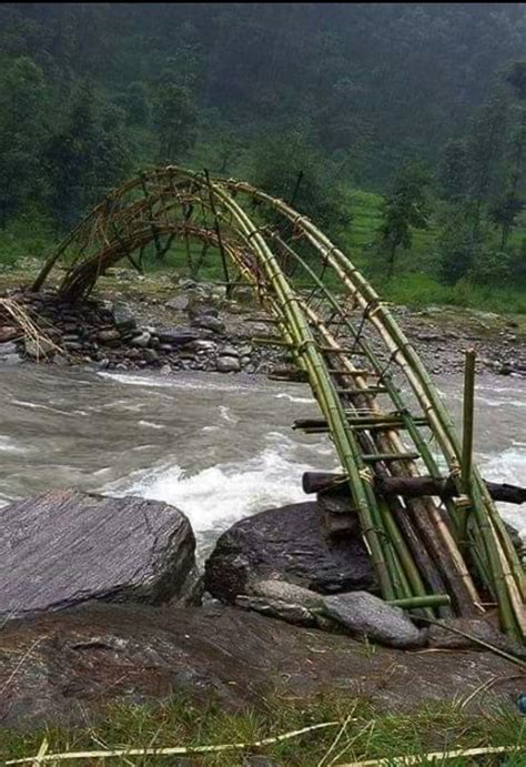 Bamboo Bridge Beamazed