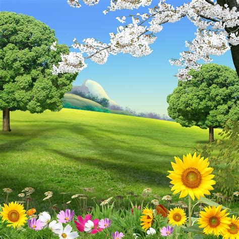 12 Nature Psd Background Images Studio Background Psd Free Download
