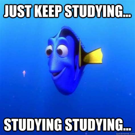 Just Keep Studying Studying Studying Dory Quickmeme
