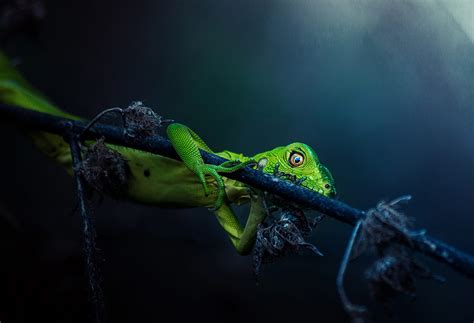 You Have To See These Sony World Photography Awards Images