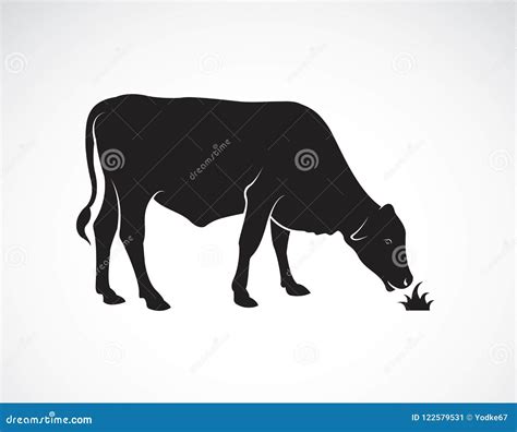 Cow Eating Grass Stock Illustrations 804 Cow Eating Grass Stock