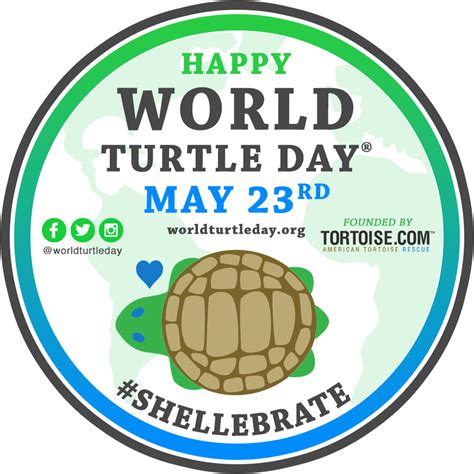 World Turtle Day 🐢 Kathy Cherry Books
