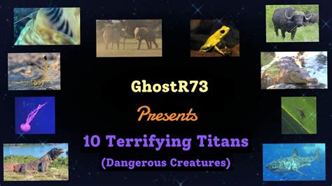 10 Terrifying Titans Dangerous Creatures Youtube