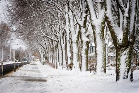 Nos Plus Belles Photos De Montréal Sous La Neige Jdm