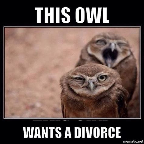 Funny Memes For Divorce Factory Memes