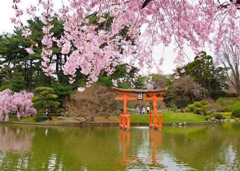 12 Stunning Japanese Gardens In America You Cant Miss