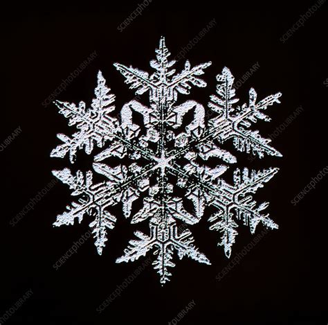 Snowflake Stock Image E1270273 Science Photo Library