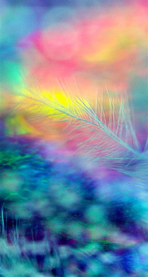 Rainbow Feather Rainbow Colors Art Colorful Wallpaper