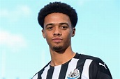 Jamal Lewis completes £15m Newcastle transfer from Norwich as he ...