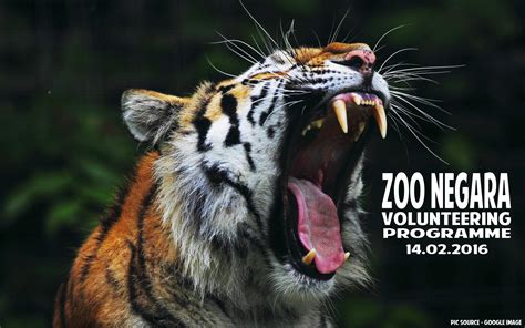 Zoo dalam bandar yang merupakan zoo tertua di malaysia yang dibuka pada tahun 1928. Zoo Negara 8 Hours Volunteer Program
