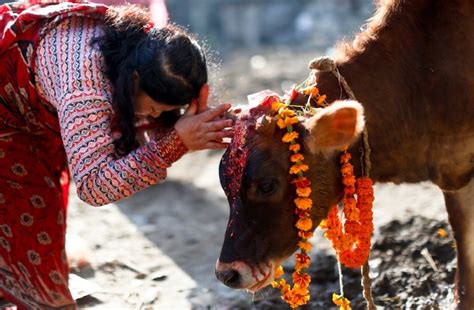 Tihar The Hindus Festival Of Nepal Hubpages