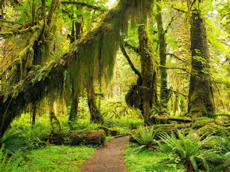 Top Wow Spots Of Olympic National Park Sunset Magazine