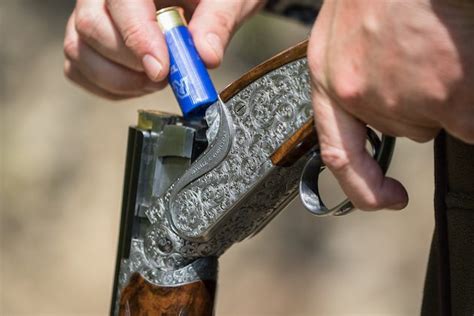 Choose The Right Cartridge Shotgun Cartridges Explained Shootinguk