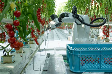 How To Integrate Iot In Your Agriculture Business Challenges And Solutions