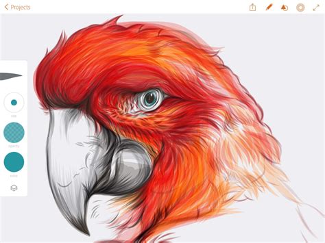 Iclarified Apple News New Adobe Illustrator Draw App Now Available