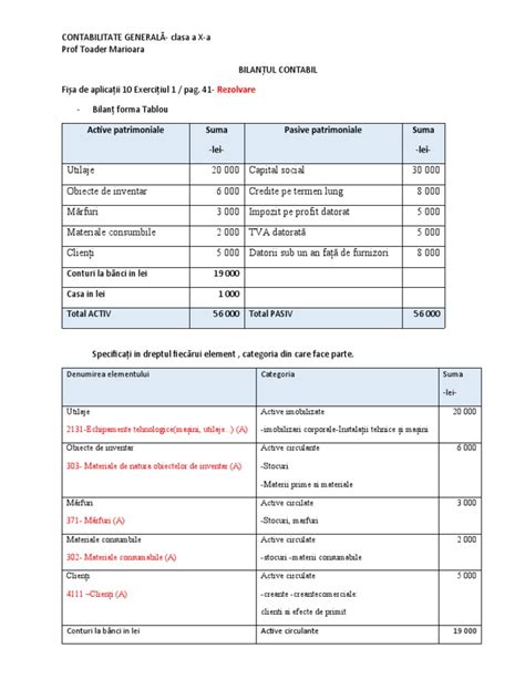 Bilantulcontabilfisadelucrurezolvare Pdf