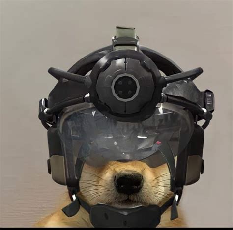 A Dog Wearing A Helmet And Goggles On Its Head With Its Eyes Closed