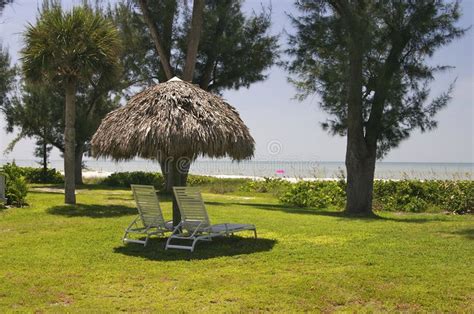 Pin on Logo Design Trends