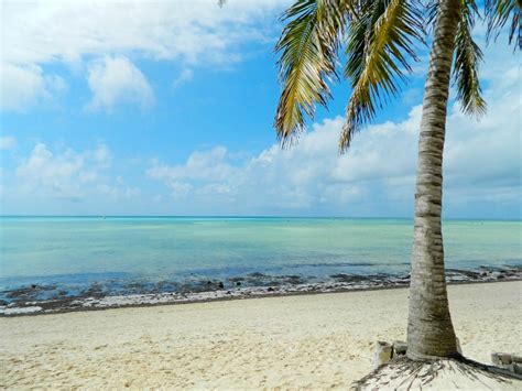 9 Night All Inclusive Holiday In Mombasa Kenya For €1169 Pp Flights