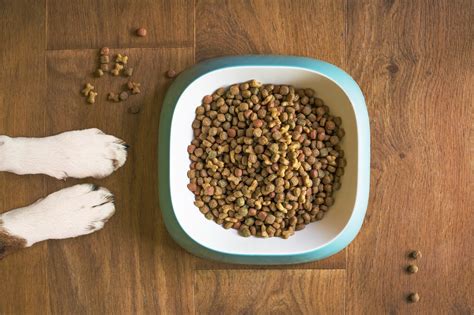 Maybe you would like to learn more about one of these? Dog food recall issued after potentially deadly mold ...