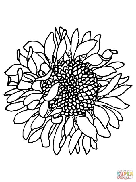 You can use our amazing online tool to color and edit the following sunflower coloring pages for adults. 301 Moved Permanently