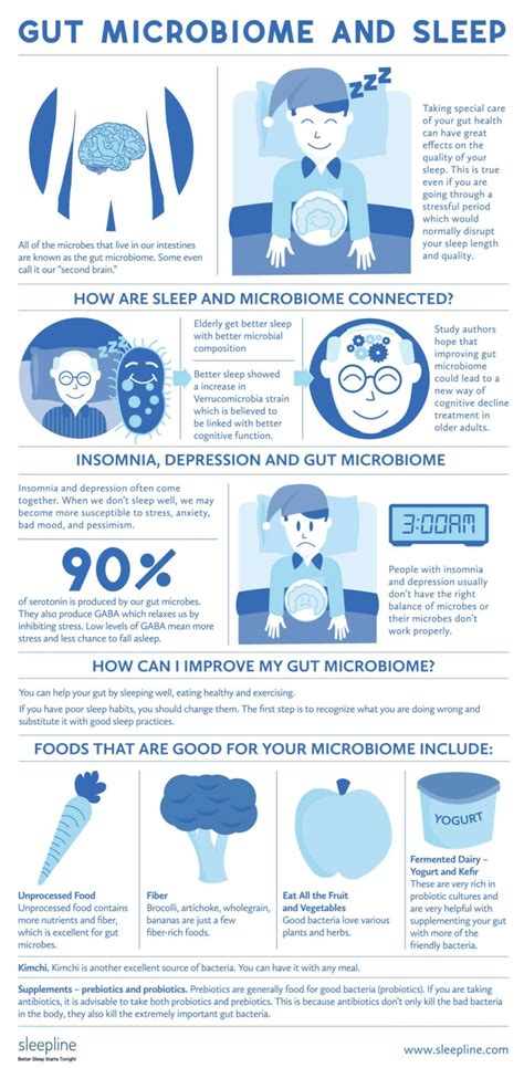 Gut Microbiome And Sleep Infographic Infographics