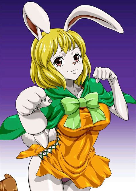 Carrot One Piece Girls Menina Anime Anime Anime Echii