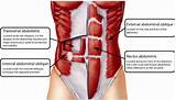 Photos of Name The Core Muscles In Your Body