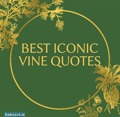 Iconic Vine Quotes 2024 To Make You Lol Inspirational Saying