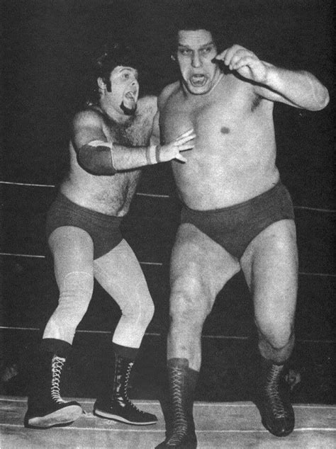 Jerry Lawler Vs Andre The Giant Sj Andre The Giant