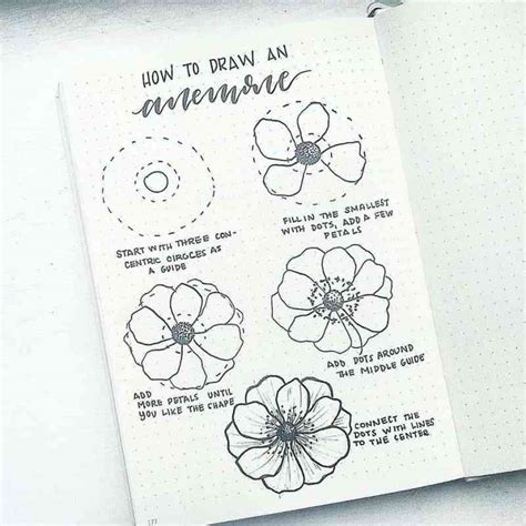 How To Draw Perfect Flower Doodles For Bullet Journal Spreads